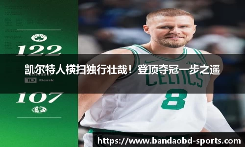 BOB半岛