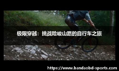 BOB半岛官方